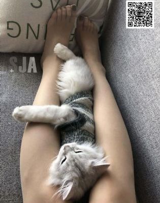 中文无码七次郎在线观看视频_完整版在线观看